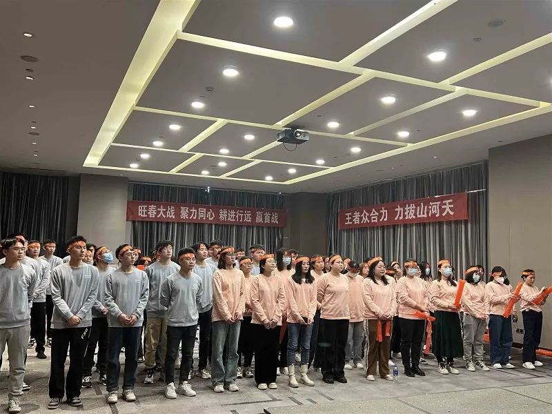 22Methylenebis(4,6-di-tert-butylphenyl)phosphate sodium salt 22Methylenebis(4,6-di-tert-butylphenyl)phosphate sodium salt