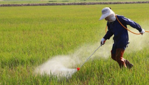 Butyl 2,4-dichlorophenoxyacetate 94-80-4 Butyl 2,4-dichlorophenoxyacetate 94-80-4